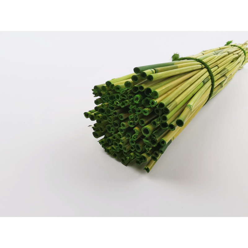 Rice river sec 12 Rice river sec 12