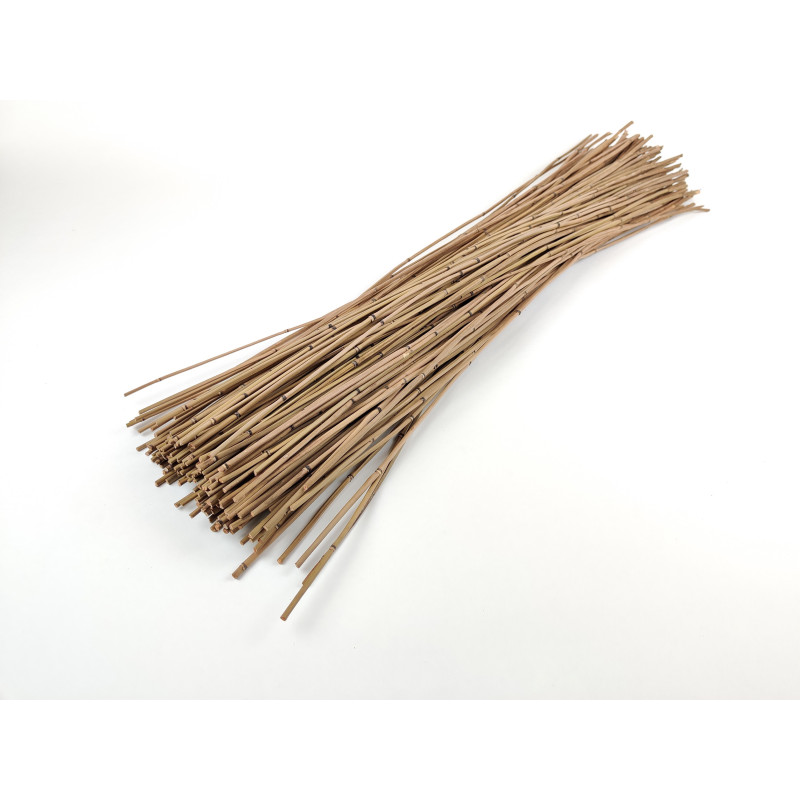 Mini Bambou sec naturel 12