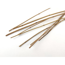 Mini Bambou sec naturel 12