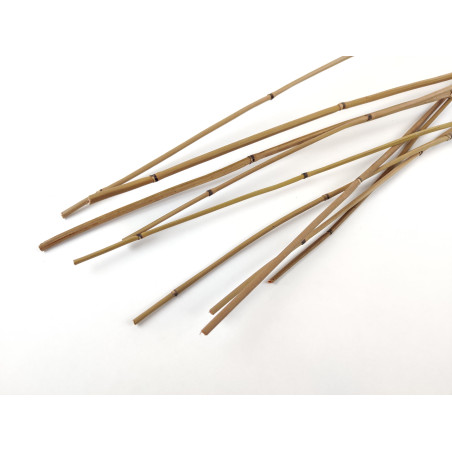 Mini Bambou sec naturel 12