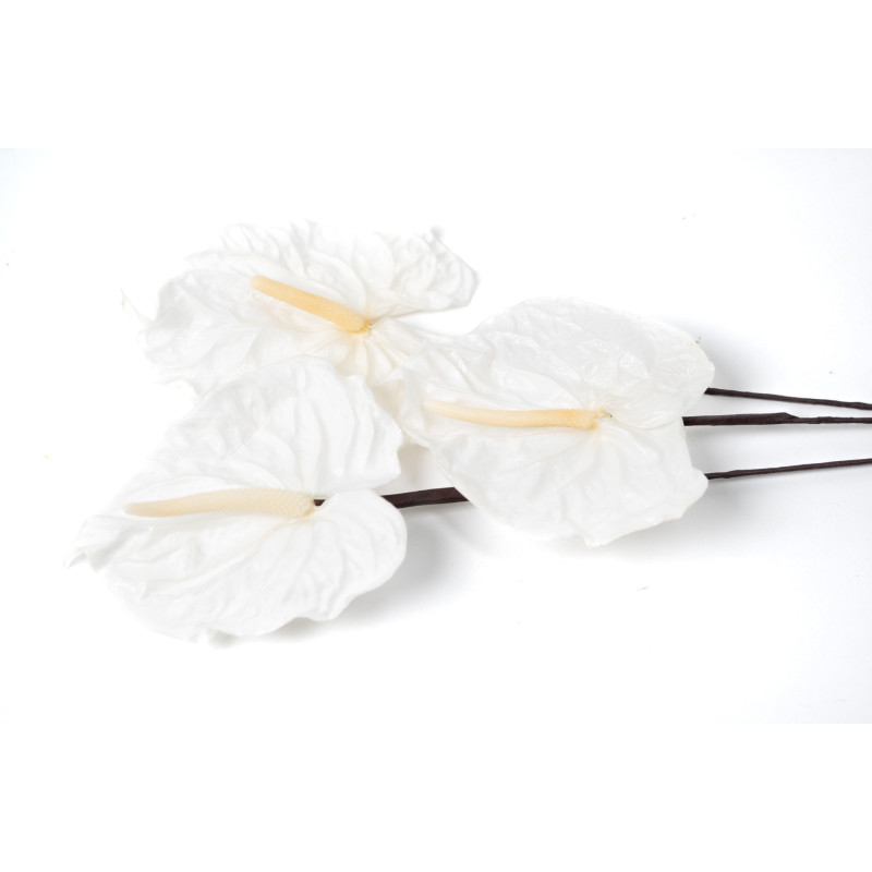 Anthurium stabilisé 30