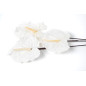 Anthurium stabilisé 30