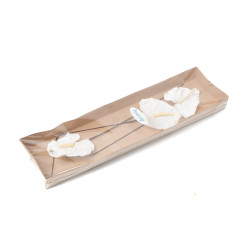 Anthurium stabilisé 30