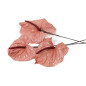 Anthurium stabilisé 30