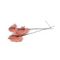 Anthurium stabilisé 30