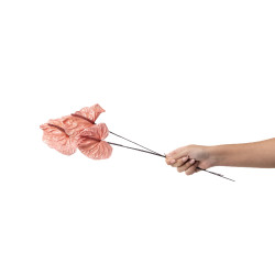 Anthurium stabilisé 30