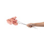 Anthurium stabilisé 30