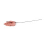 Anthurium stabilisé 30