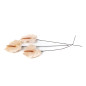Anthurium stabilisé 30