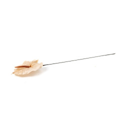 Anthurium stabilisé 30