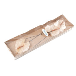 Anthurium stabilisé 30