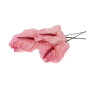 Anthurium stabilisé 30