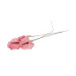 Anthurium stabilisé 30
