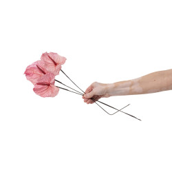 Anthurium stabilisé 30
