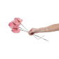 Anthurium stabilisé 30