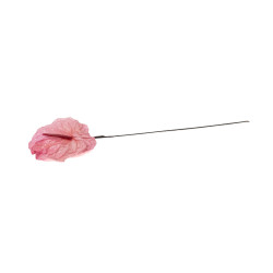 Anthurium stabilisé 30