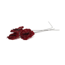 Anthurium stabilisé 30