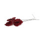 Anthurium stabilisé 30