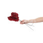 Anthurium stabilisé 30