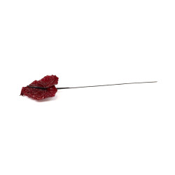 Anthurium stabilisé 30