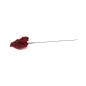 Anthurium stabilisé 30