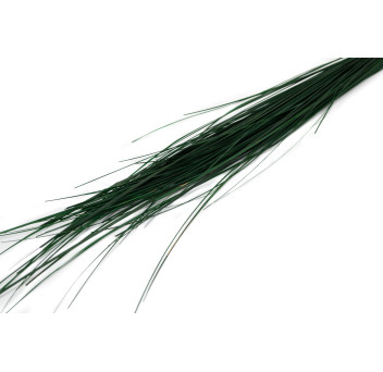 Gynerium stabilisé 500g 15