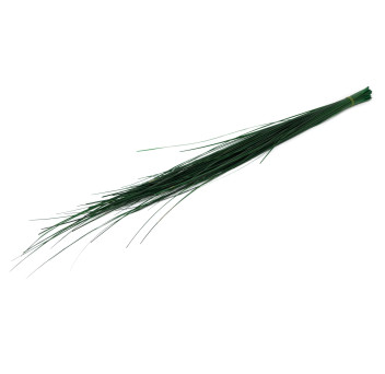 Gynerium stabilisé 500g 15