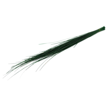 Gynerium stabilisé 500g 15