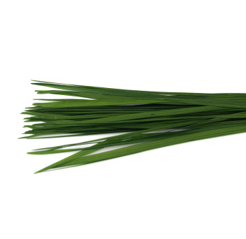 Miscanthus stabilisé 30