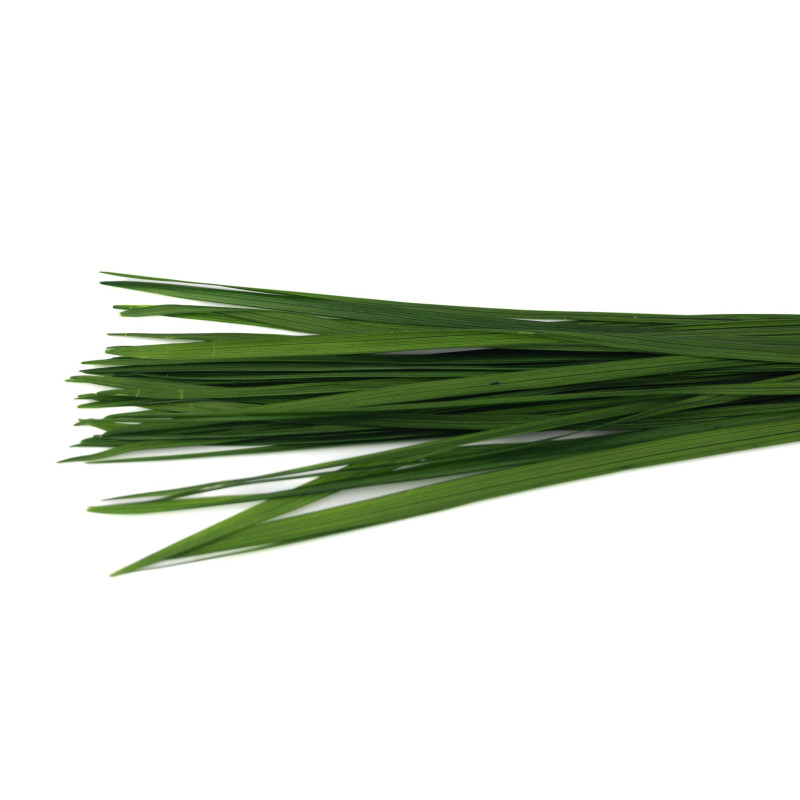 Miscanthus stabilisé 30