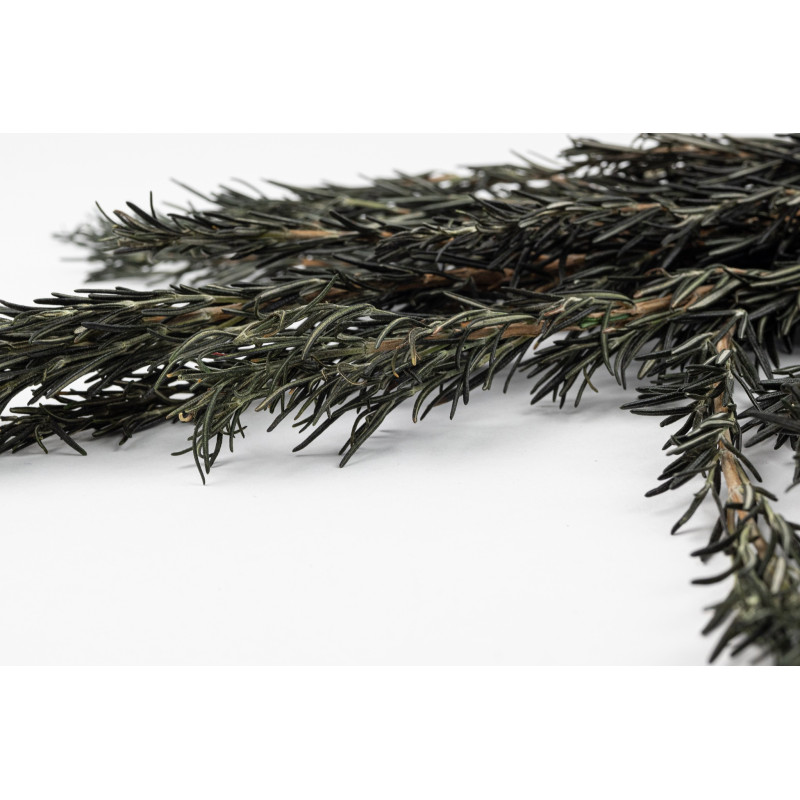 Romarin stabilisé 6