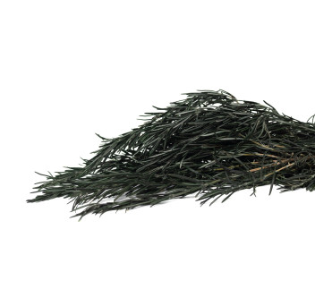 Romarin stabilisé 6