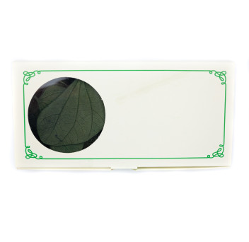 Nenuphar stabilisé 14