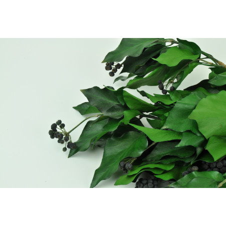 Lierre avec fruits stabilisé 6