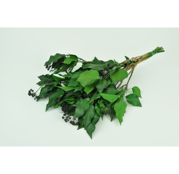 Lierre avec fruits stabilisé 6