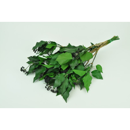 Lierre avec fruits stabilisé 6