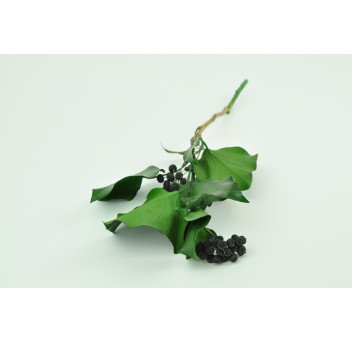 Lierre avec fruits stabilisé 6