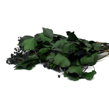 Lierre avec fruits stabilisé 6