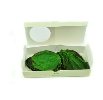 Feuilles de tibouchina stabilisées 14