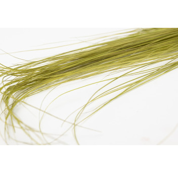 Bright grass stabilisé 8