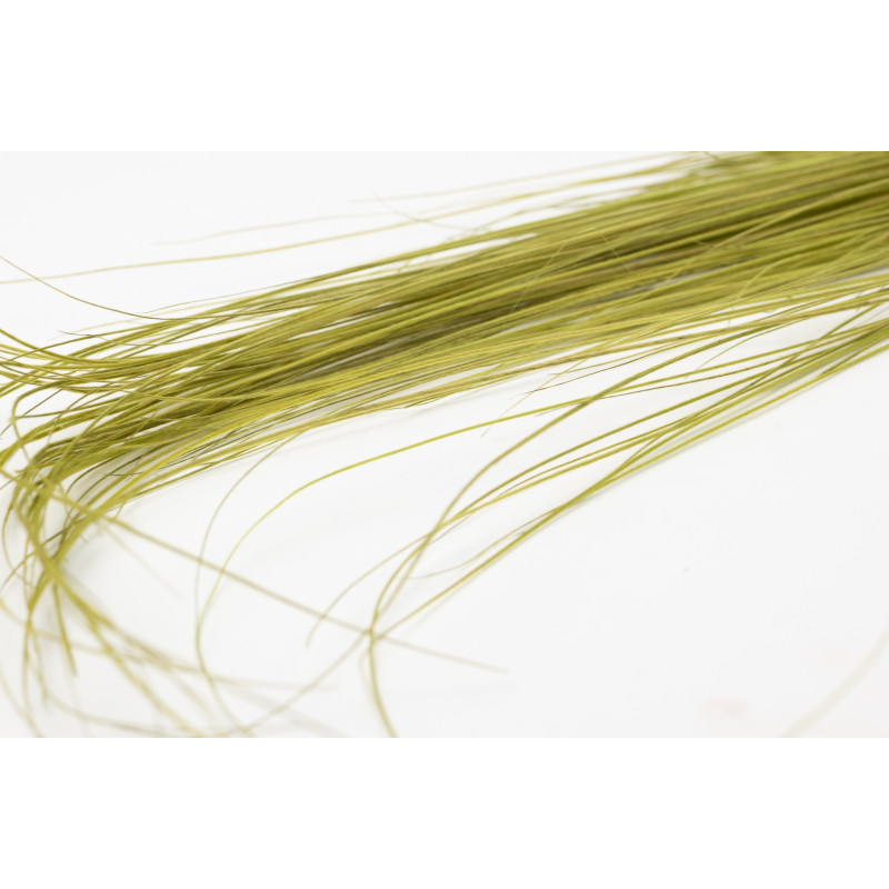 Bright grass stabilisé 8