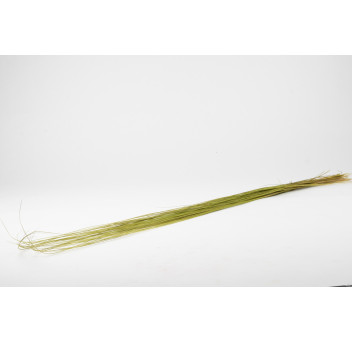 Bright grass stabilisé 8