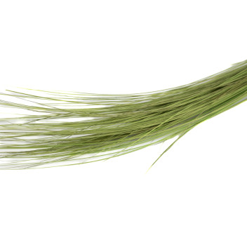 Bright grass stabilisé 8