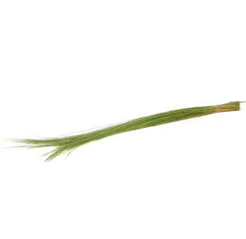 Bright grass stabilisé 8