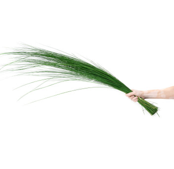 Bright grass stabilisé 8