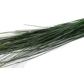 Bear grass stabilisé 6