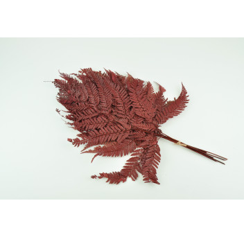 Fougère rumohra stabilisée 8