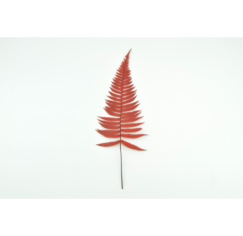 Fougère roche stabilisée 13