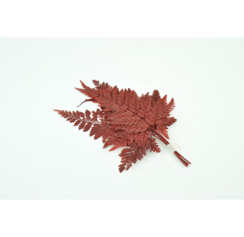 Fougère davalia stabilisée 13