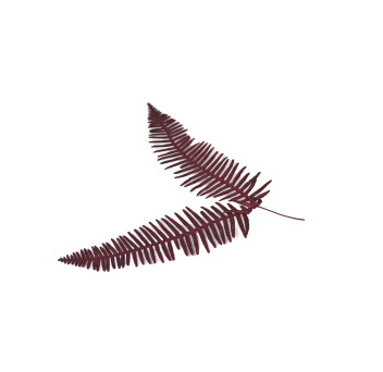 Fougère double stabilisée 8